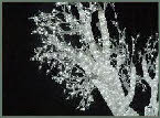 Standard ice tree
